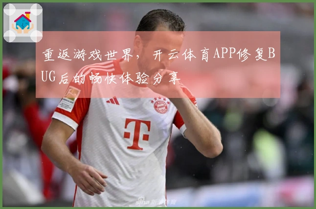 重返游戏世界,开云体育APP修复BUG后的畅快体验分享